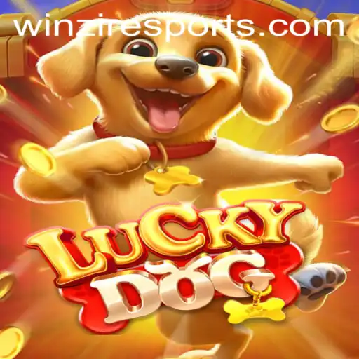 Discovering the Thrill of LuckyDog: A Fascinating Dive into the World of WinZir